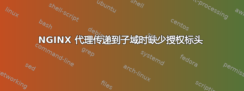 NGINX 代理传递到子域时缺少授权标头