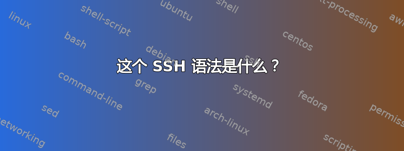 这个 SSH 语法是什么？