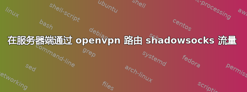 在服务器端通过 openvpn 路由 shadowsocks 流量