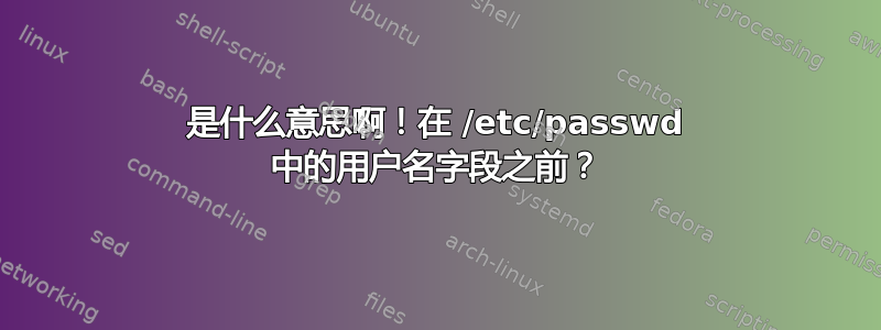 是什么意思啊！在 /etc/passwd 中的用户名字段之前？