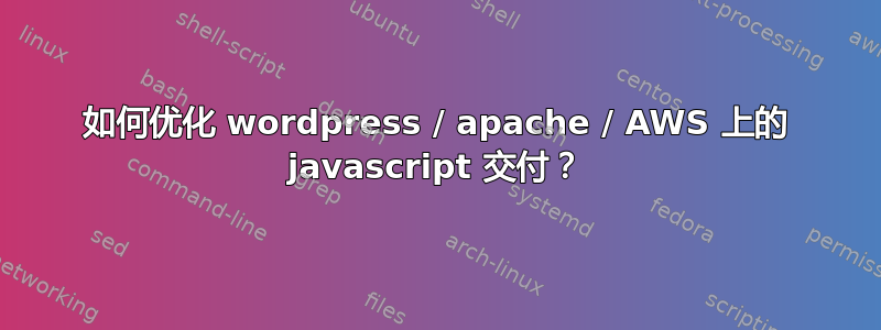 如何优化 wordpress / apache / AWS 上的 javascript 交付？