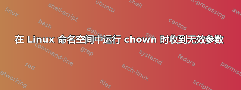 在 Linux 命名空间中运行 chown 时收到无效参数