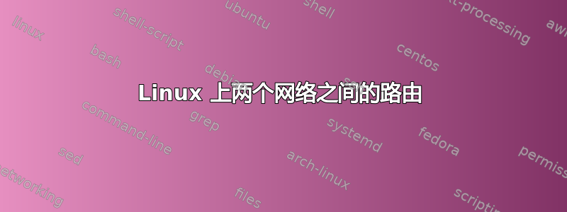 Linux 上两个网络之间的路由