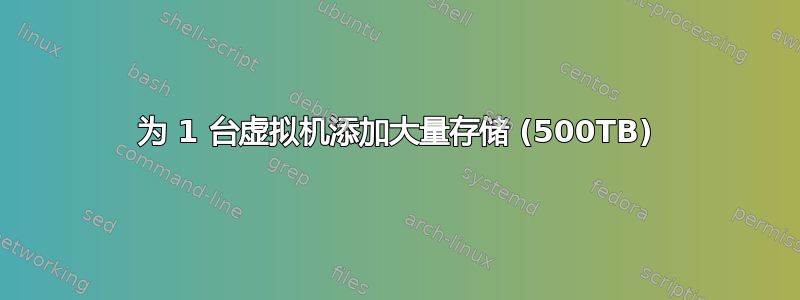 为 1 台虚拟机添加大量存储 (500TB)