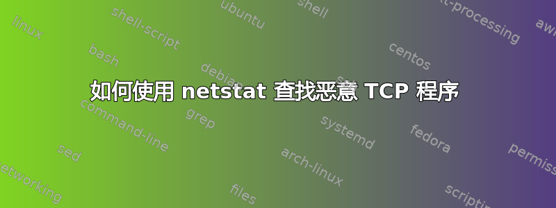 如何使用 netstat 查找恶意 TCP 程序