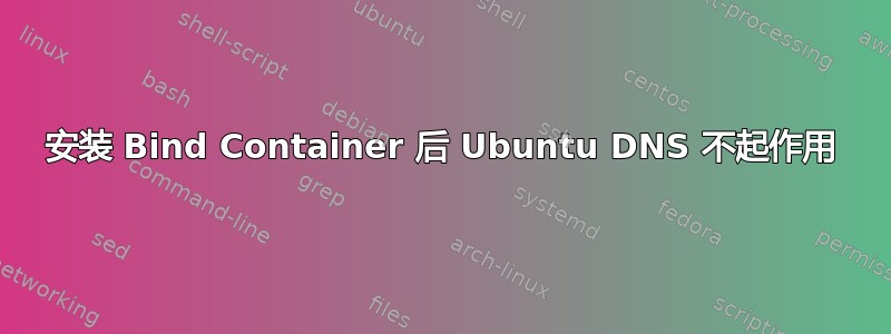 安装 Bind Container 后 Ubuntu DNS 不起作用