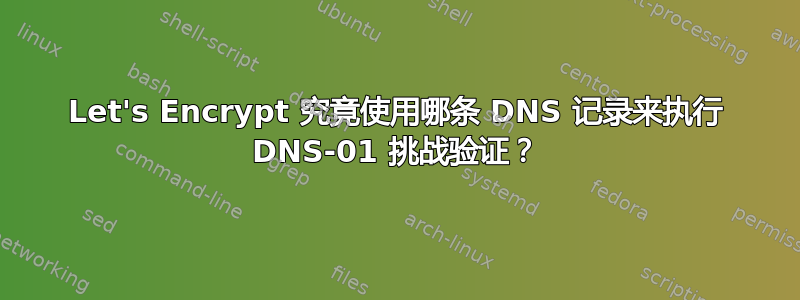 Let's Encrypt 究竟使用哪条 DNS 记录来执行 DNS-01 挑战验证？