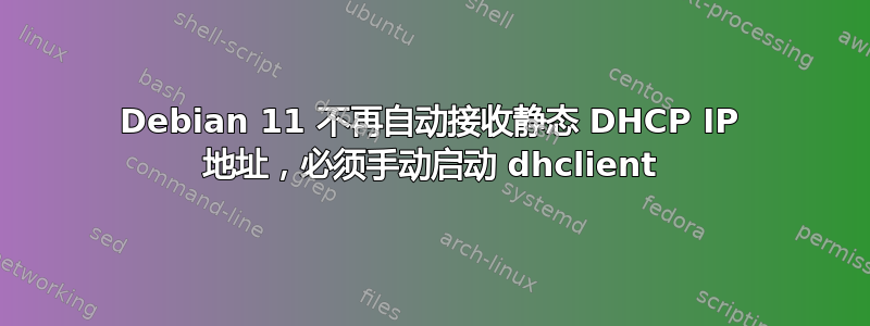 Debian 11 不再自动接收静态 DHCP IP 地址，必须手动启动 dhclient