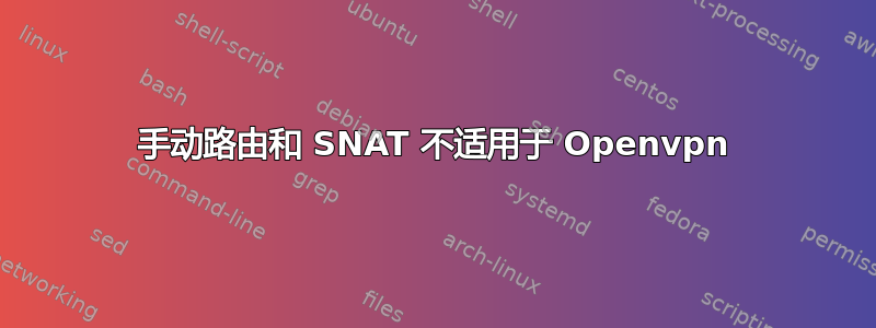 手动路由和 SNAT 不适用于 Openvpn