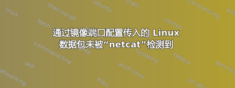 通过镜像端口配置传入的 Linux 数据包未被“netcat”检测到