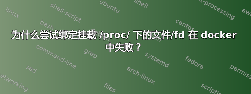 为什么尝试绑定挂载 /proc/ 下的文件/fd 在 docker 中失败？