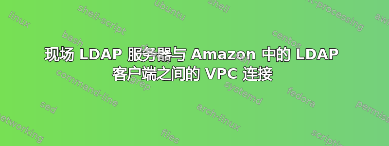 现场 LDAP 服务器与 Amazon 中的 LDAP 客户端之间的 VPC 连接