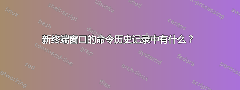 新终端窗口的命令历史记录中有什么？