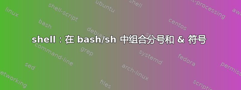 shell：在 bash/sh 中组合分号和 & 符号