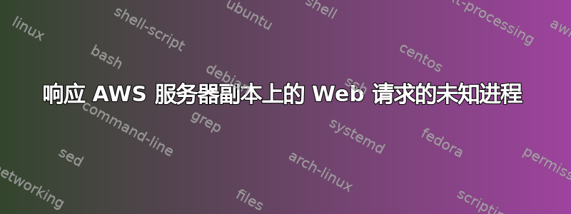 响应 AWS 服务器副本上的 Web 请求的未知进程