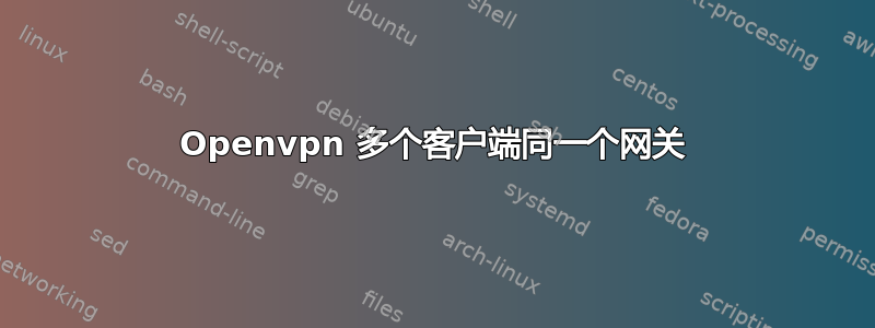 Openvpn 多个客户端同一个网关