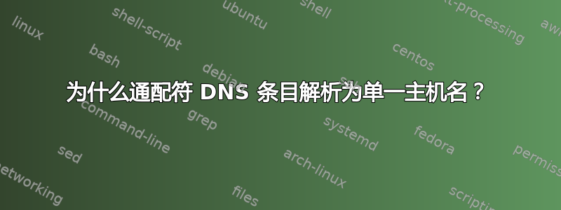 为什么通配符 DNS 条目解析为单一主机名？