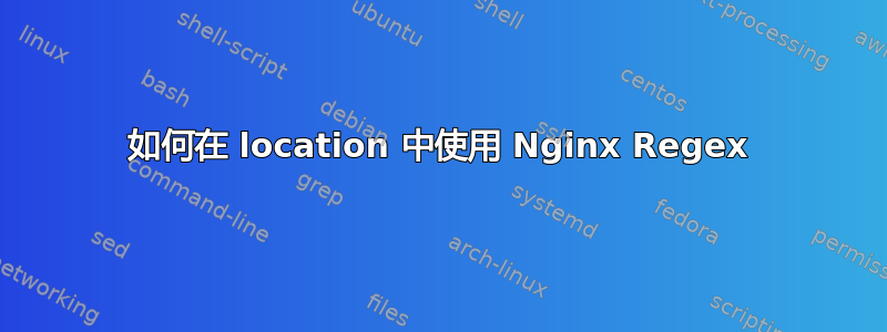 如何在 location 中使用 Nginx Regex