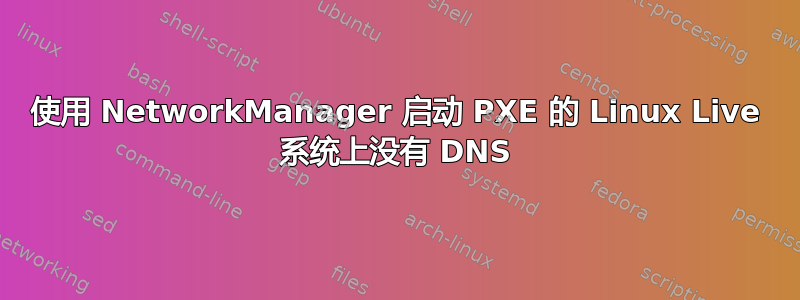 使用 NetworkManager 启动 PXE 的 Linux Live 系统上没有 DNS