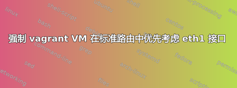 强制 vagrant VM 在标准路由中优先考虑 eth1 接口