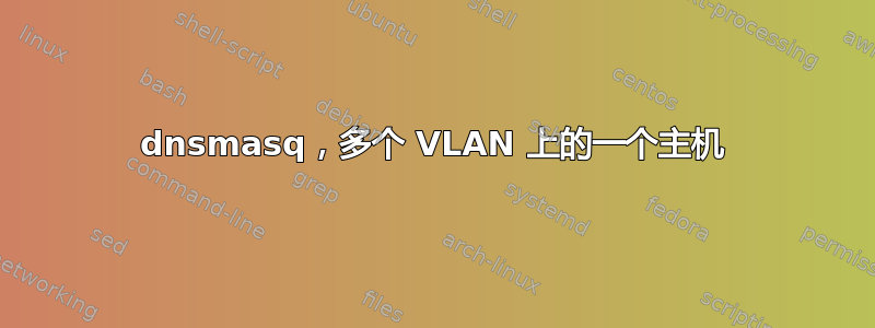 dnsmasq，多个 VLAN 上的一个主机