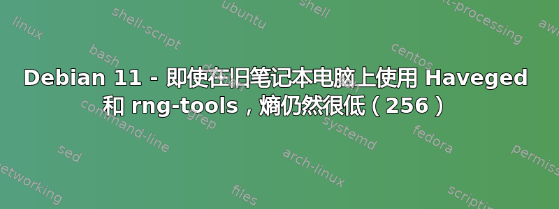 Debian 11 - 即使在旧笔记本电脑上使用 Haveged 和 rng-tools，熵仍然很低（256）