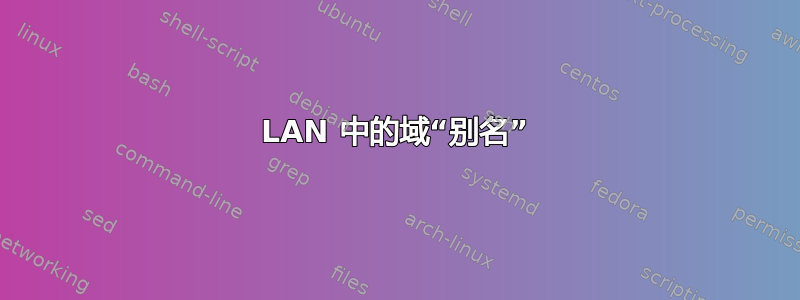 LAN 中的域“别名”