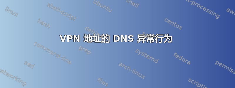 VPN 地址的 DNS 异常行为