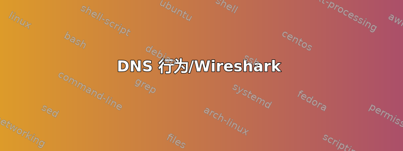 DNS 行为/Wireshark