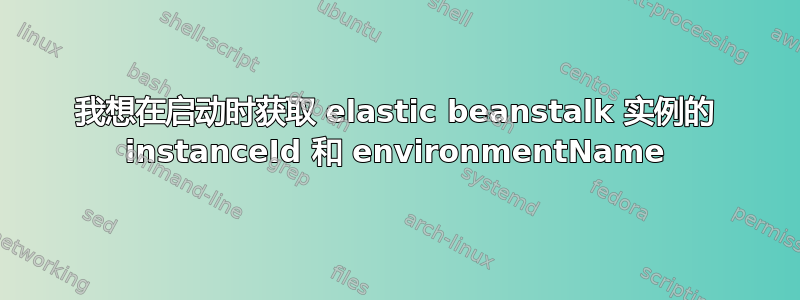 我想在启动时获取 elastic beanstalk 实例的 instanceId 和 environmentName