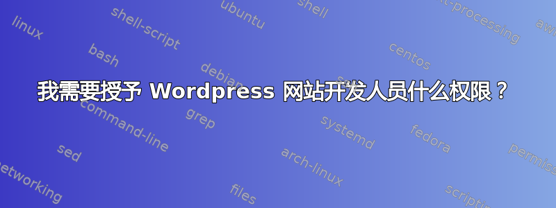 我需要授予 Wordpress 网站开发人员什么权限？