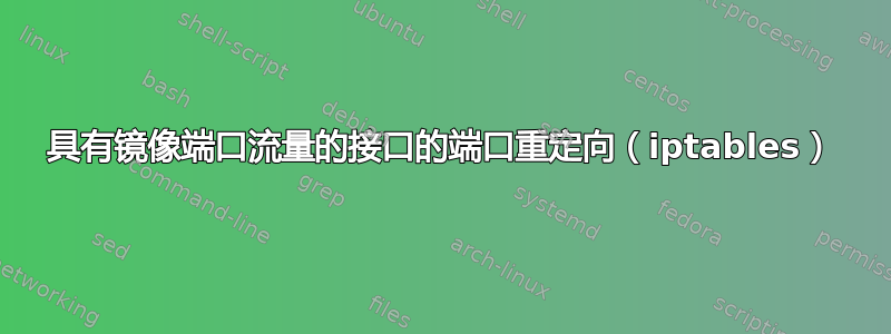 具有镜像端口流量的接口的端口重定向（iptables）