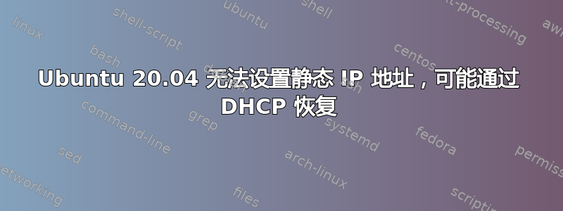 Ubuntu 20.04 无法设置静态 IP 地址，可能通过 DHCP 恢复