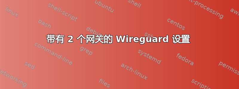 带有 2 个网关的 Wireguard 设置