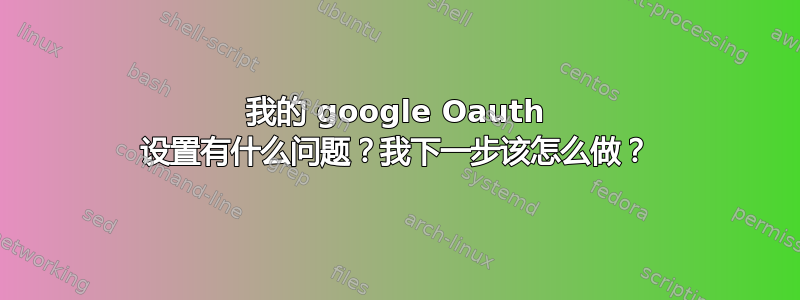 我的 google Oauth 设置有什么问题？我下一步该怎么做？