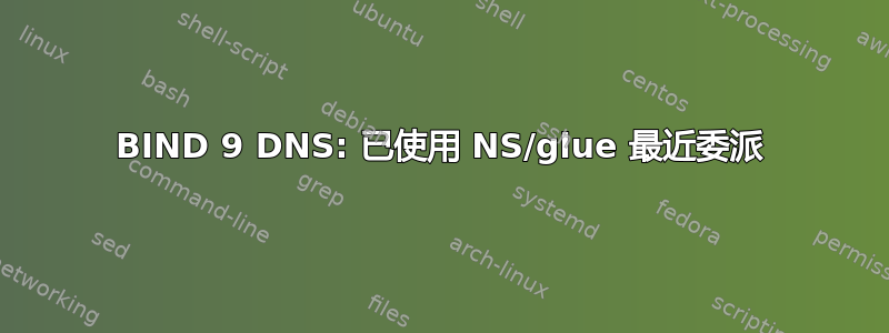 BIND 9 DNS: 已使用 NS/glue 最近委派