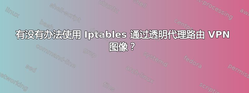 有没有办法使用 Iptables 通过透明代理路由 VPN 图像？