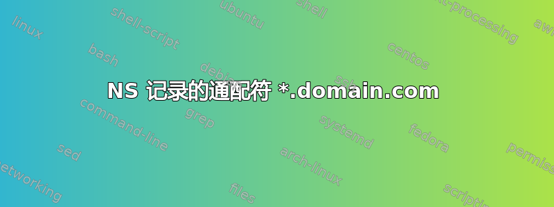 NS 记录的通配符 *.domain.com