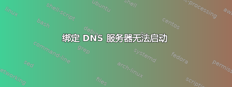 绑定 DNS 服务器无法启动