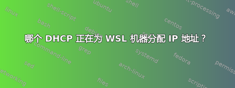 哪个 DHCP 正在为 WSL 机器分配 IP 地址？