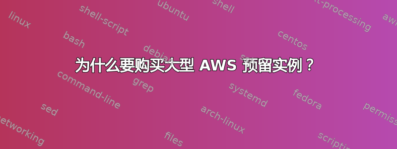 为什么要购买大型 AWS 预留实例？