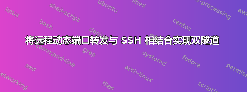 将远程动态端口转发与 SSH 相结合实现双隧道