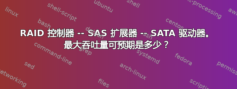 RAID 控制器 -- SAS 扩展器 -- SATA 驱动器。 最大吞吐量可预期是多少？