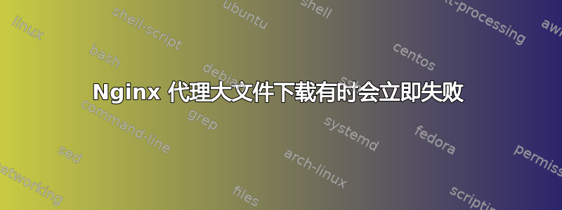 Nginx 代理大文件下载有时会立即失败