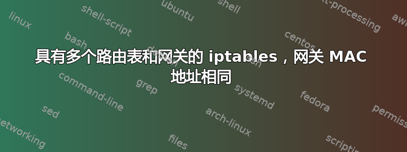 具有多个路由表和网关的 iptables，网关 MAC 地址相同