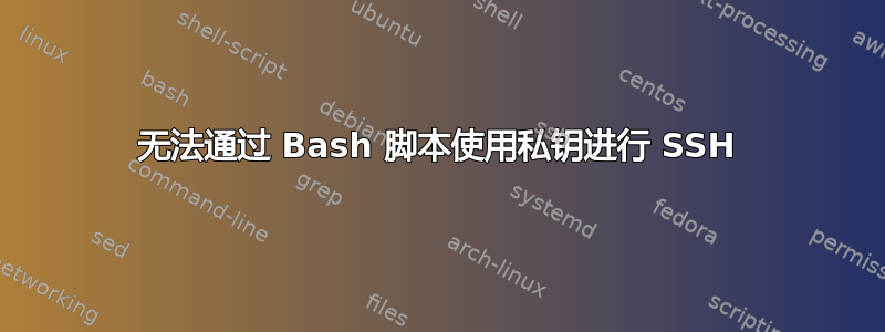 无法通过 Bash 脚本使用私钥进行 SSH