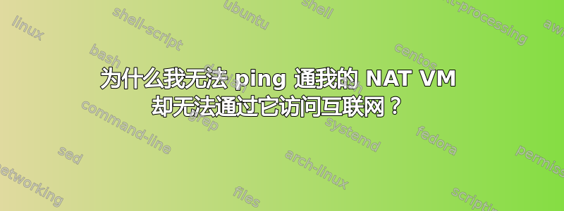 为什么我无法 ping 通我的 NAT VM 却无法通过它访问互联网？