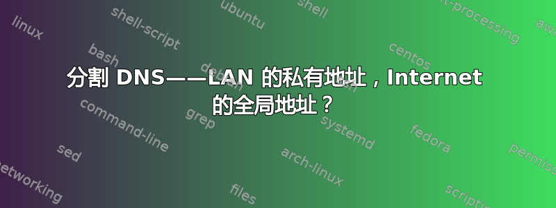 分割 DNS——LAN 的私有地址，Internet 的全局地址？