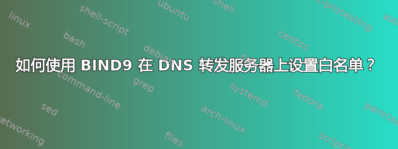 如何使用 BIND9 在 DNS 转发服务器上设置白名单？
