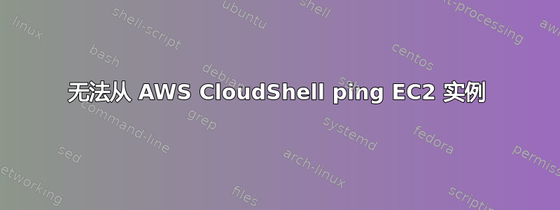 无法从 AWS CloudShell ping EC2 实例